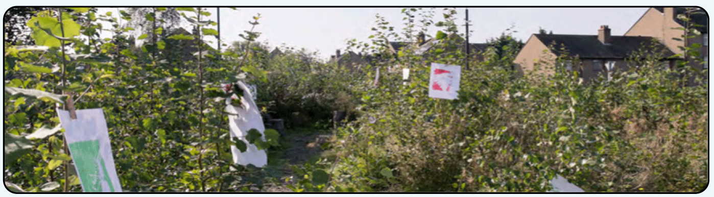 Image of young, tagged trees in a Fife community Orchard, with houses in the background