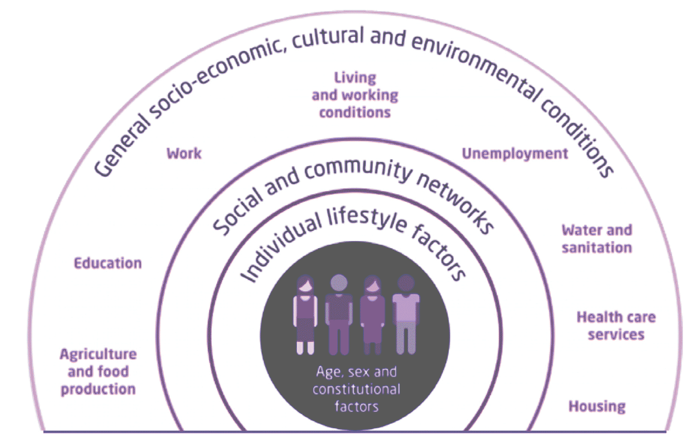 Diagram of concentric circles depicting factors influencing health (general socio-economic environmental conditions - Social and community networks - individual lifestyle factors - age, sex and constitutional factors)