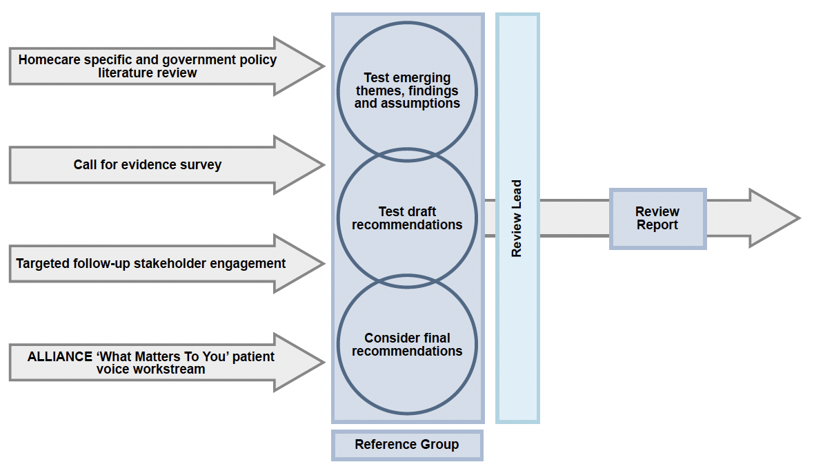 The graphic illustrates the Review approach. The inputs are a literature review, call for evidence survey, targeted stakeholder engagement and patient voice workstream. Inputs are tested by a Reference Group and considered by the Review Lead. A Review Report is the final output.