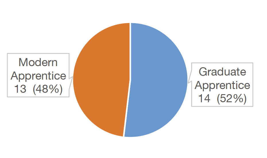 Chart 18 presents the number of modern and graduate apprentices in 2024.