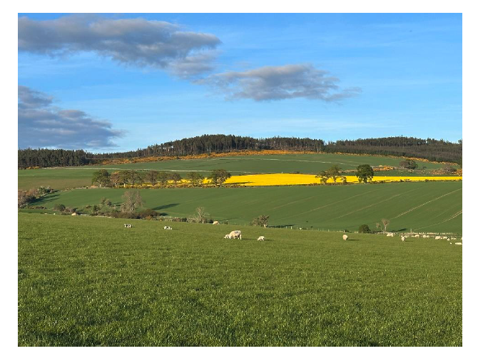 The image illustrates a Scottish landscape of mixed farming of livestock grazing the foreground and arable cropping and forestry in the background.