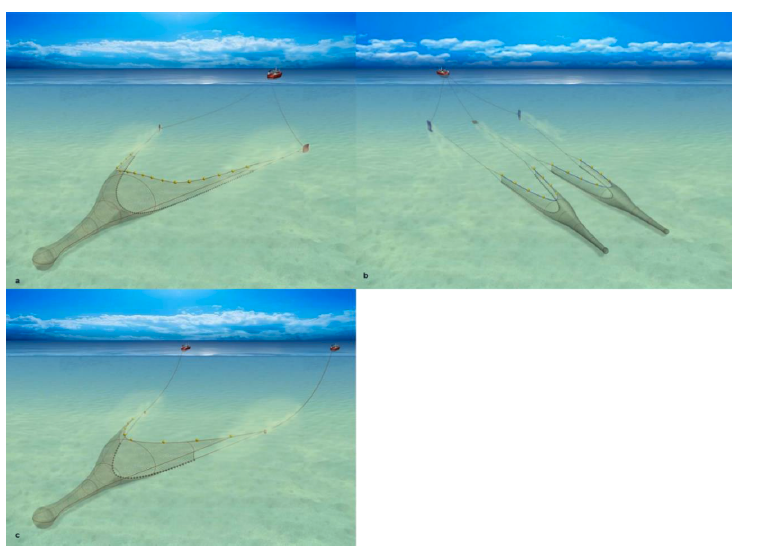 Showing demersal trawling at sea, with Otter Trawls, Twin Rig Trawls, and Pair Trawls.