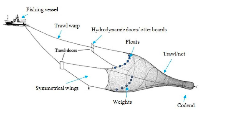 Pelagic trawling components, showing a fishing vessel towing a trawl net with ropes, trawl doors, floats, weights, and parts of the net identified. 