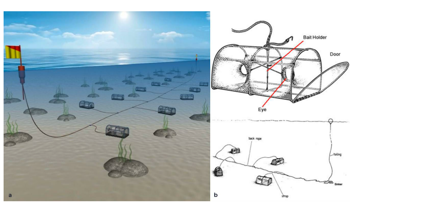 A diagram of a commercial creel deployment, in set with an image of the makeup of the creel including constituent parts.