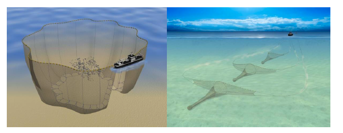 Left: Large open purse seine net deployed in a circle alongside vessel. Right: A seine net vessel with its gear deployed in the sea