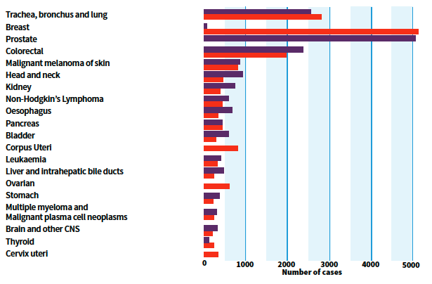 Bar chart displaying the twenty most common cases of cancer in male and females. 