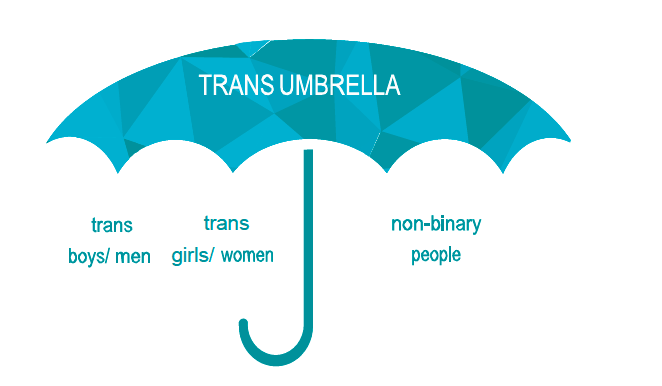 A diagram of an umbrella with the words Trans Umbrella in the dome shape. Under the umbrella on the left are the words trans boys/men and trans girls/women and on the right are the words non-binary people. The diagram seeks to show who may be included within the inclusive term the trans umbrella.