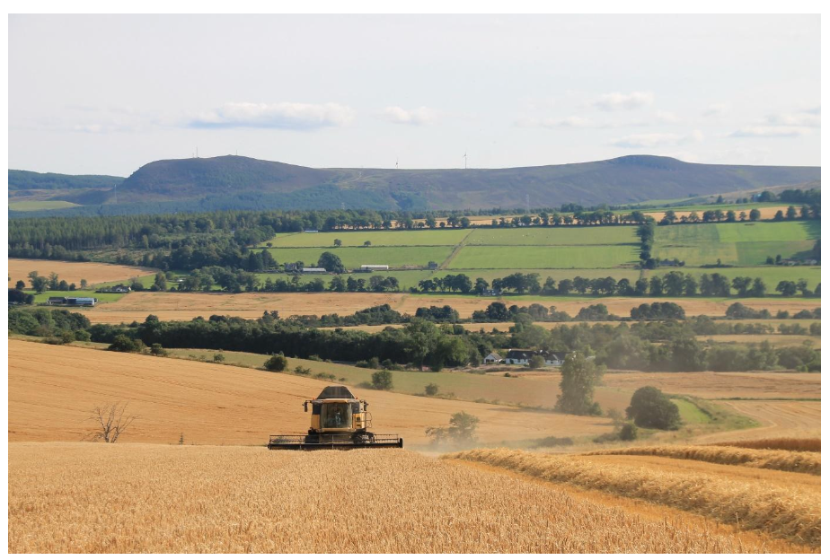 Image 1 - Harvest landscape