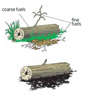  Fig B1.1 This example indicates how fine fuels, burn off quickly and, where the coarse fuel is too large, there is little interaction