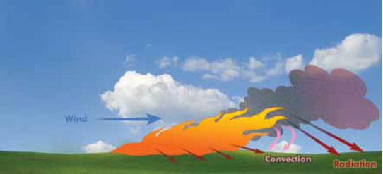 Fig. B5.8 Illustration of the effect of wind fire spread and intensities