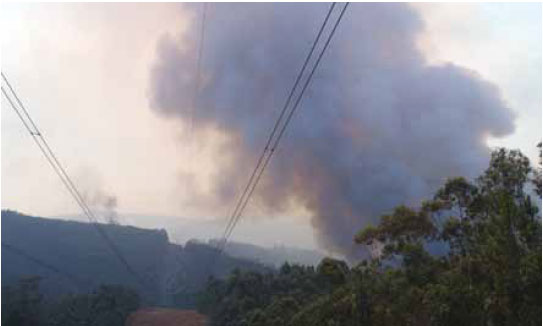 Photo B5.8 Showing a fire in the background that has been caused by long-range spotting
