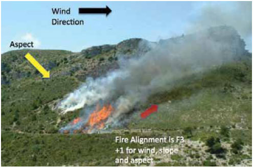 Photo B6.3 The operational burn has much more intensity than the wildfire and is used to remove all fuel in the fire’s path