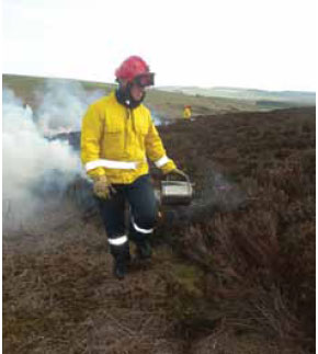 Photo B10.10 Showing a firefighter carefully using a drip torch to ignite vegetation