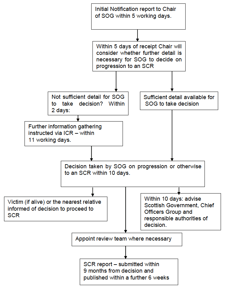 Significant Case Review Process Chart