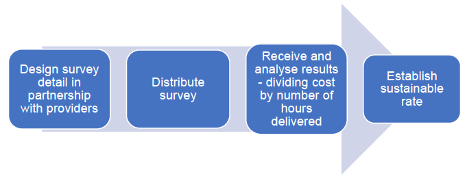 Figure 1: Overview of process – Survey (Costs)