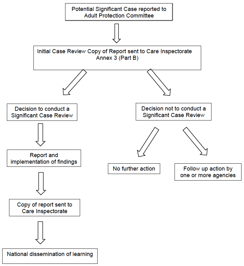 Figure 1 - Overview of the case review process