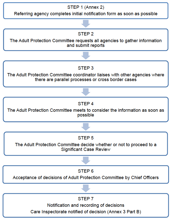 Figure 2 - Initial case review process flowchart