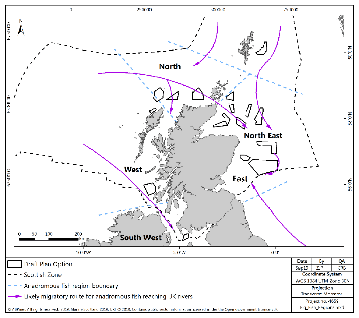 Figure 44 Anadromous fish expected migration pathways