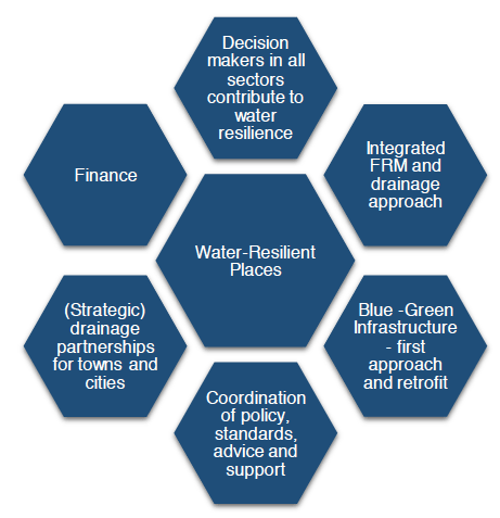 Visual depiction of the key elements to be delivered to produce water resilient places