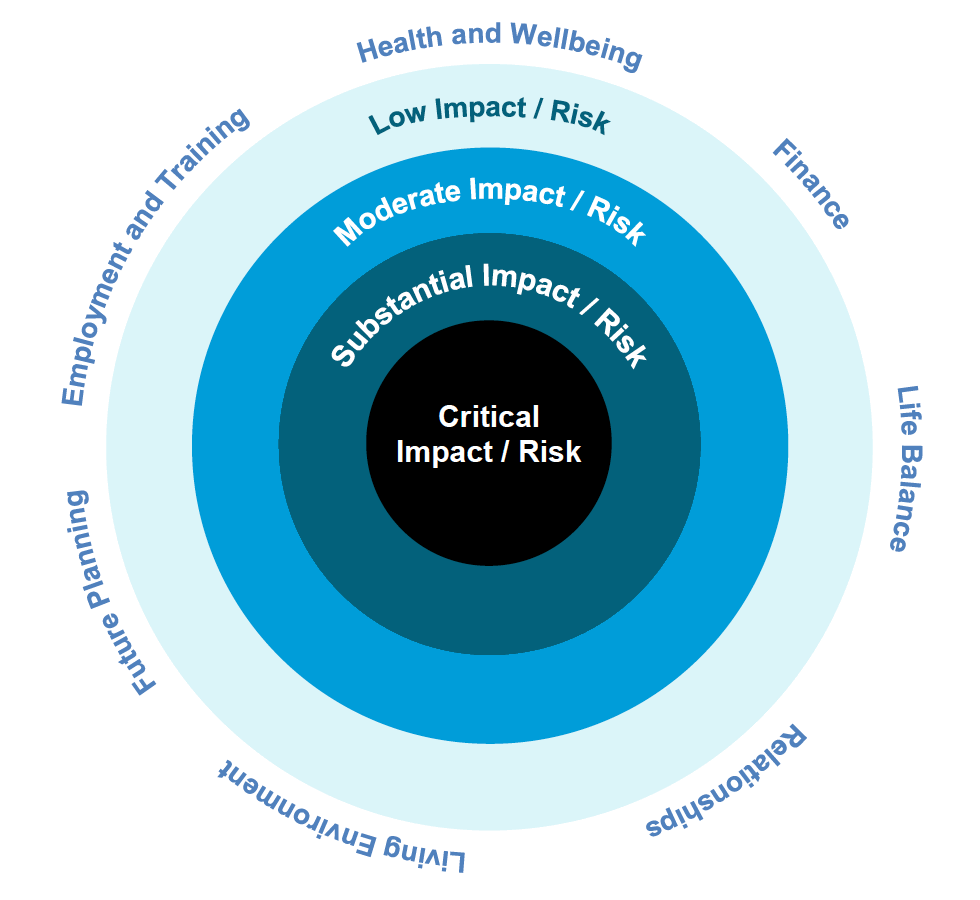Diagram showing how to determine the impact of the caring role and associated risk