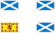 flag example