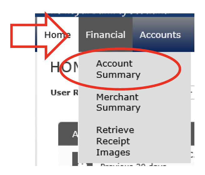 ‘ RBS Smart Data Online account Homepage user role – Financial – Account Summary ‘