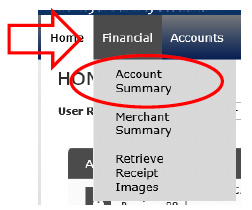 RBS Smart Data Online account Homepage user role – Financial – Account Summary