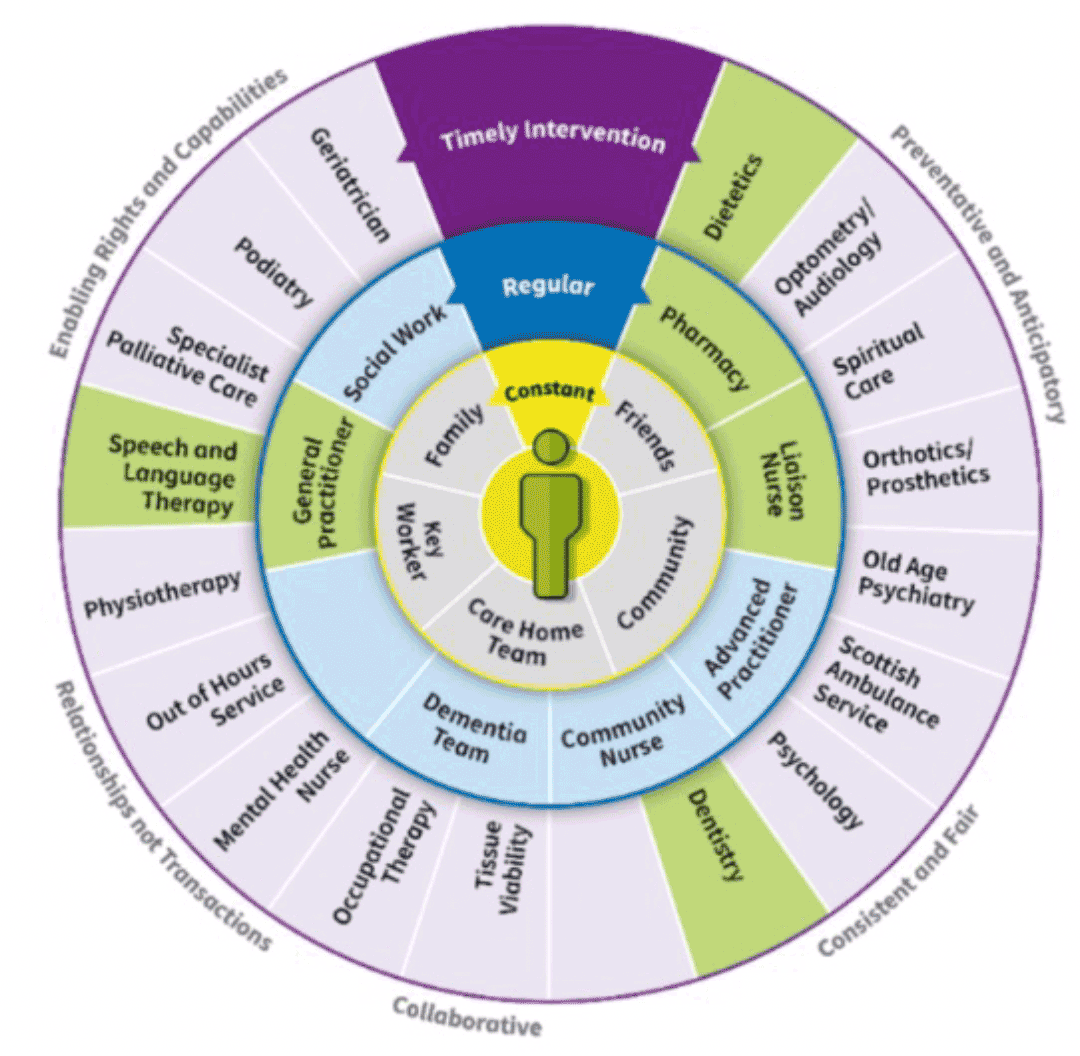 An example of the concentric wheels showing an individual with swallowing problems. The professionals involved in that person’s care are highlighted. These include, GP, Pharmacist, Dentistry and Dietetics. 
