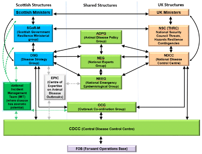 a diagram showing the structural relationships between GB and the Scottish control structure and how these groups would interoperate