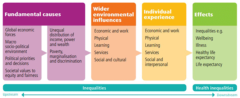 Progression of fundamental causes of health inequalities at a population level to their observable effects. Fundamental causes reflect economic, political and societal factors with influence a population's health and wellbeing. The fundamental causes are upstream of the the downstream health inequality effects.