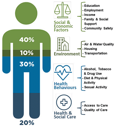 Human outline showing the modifiable determinants of health. These are split into 4 areas of 40% social & economic factors, 10% environment, 30% health behaviours and 20% input from health and social care services. These four areas are further sudivided to show contributing sources.