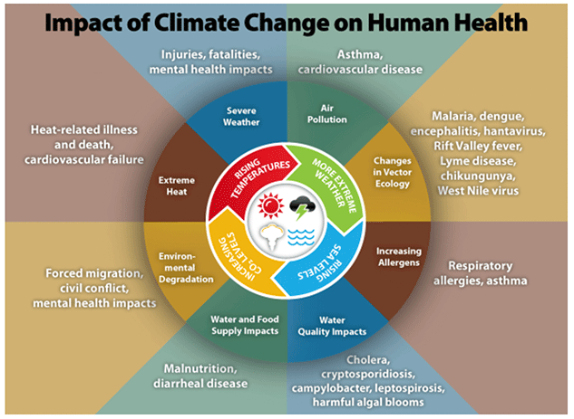 Circular image showing the expanding impact of climate change on human health. The central circle relates to physical changes in weather and temperature. The expanding layers show the areas of health related to these changes and examples of diseases related to these health areas. Such as rising air pollution and increased asthma exacerbation.