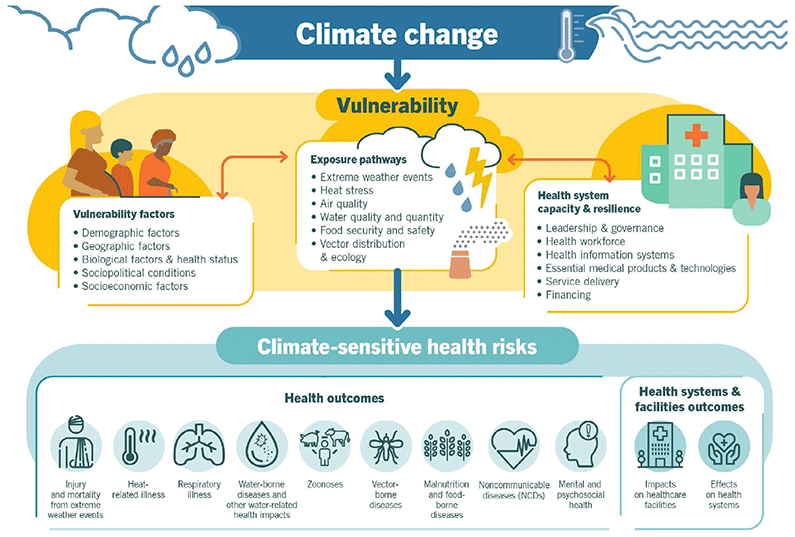 Infographic showing the vulnerability of population health and healthcare delivery related to the physical outcomes of climate change, such as weather events, heat stress, and air & water quality.