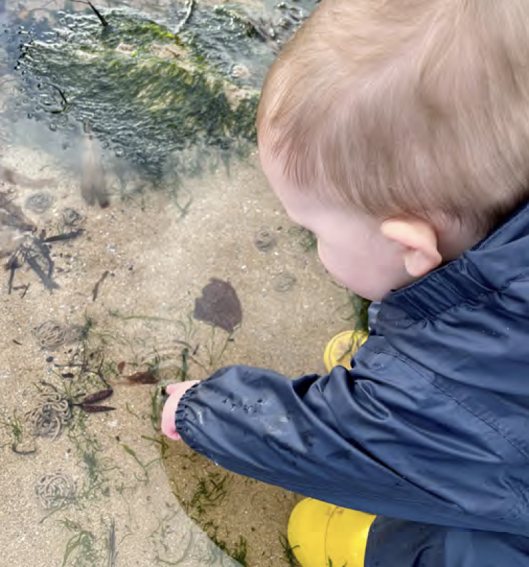 Small child pointing at what they can see in a rock pool.
