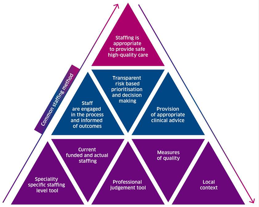 Figure 1. A triangle showing the various components of the common staffing method, including use of the staffing tools and consideration of a range of factors to determine what is appropriate staffing to provide safe high-quality care.