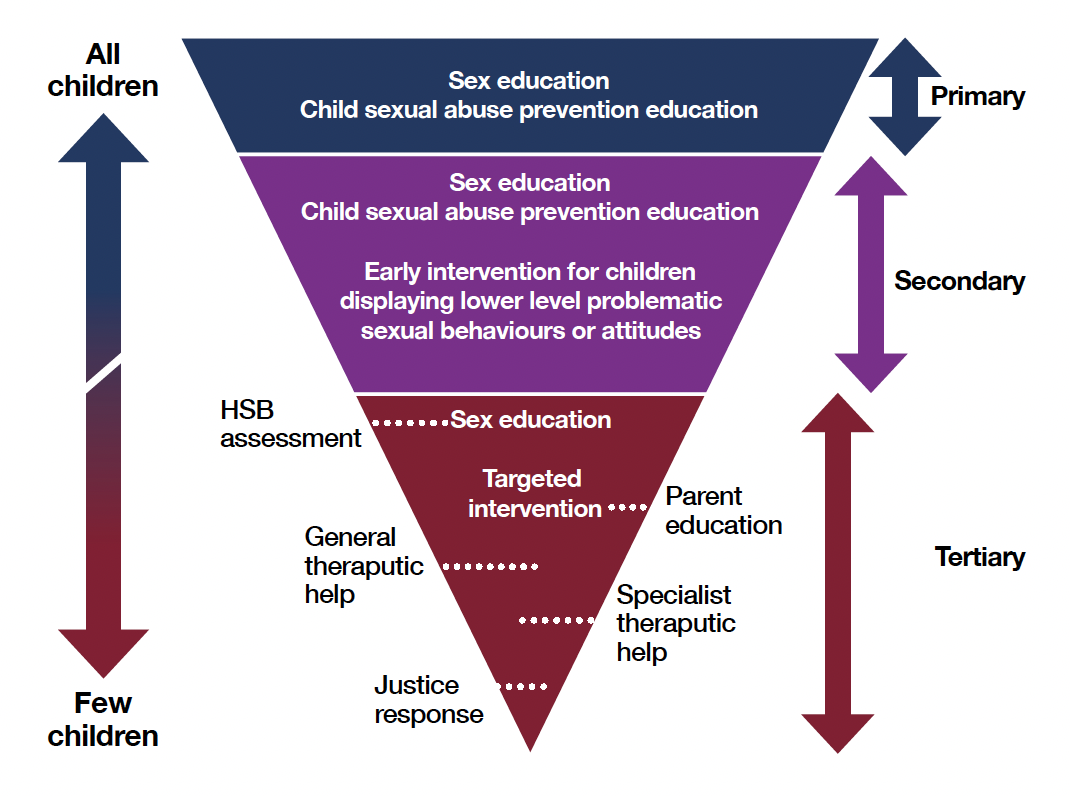 Continuum of actions to prevent harmful sexual behaviour and intervene when harmful behaviour arises. All children and young people should receive sex education and child sexual abuse prevention education. Early intervention should take place for children displaying lower level problematic sexual behaviours or attitudes. For the few children who display harmful sexual behaviour targeted intervention will be required and will begin with screening and assessment to determine how much intervention is required. Interventions include parent education, general therapeutic help, specialist therapeutic help. For very few cases, a justice response might be required.