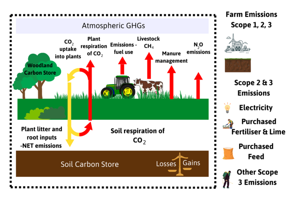 Image 2 – Atmospheric greenhouse gas emissions and soil carbon store diagram