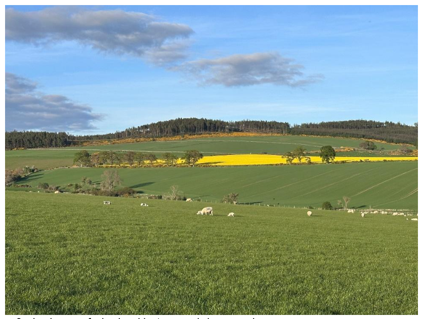 Image 3 – landscape of mixed arable, trees and sheep grazing