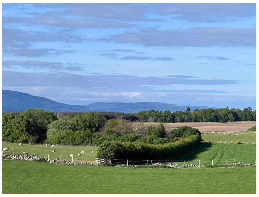 Image 9 – landscape of mixed farming, sheep grazing, hedges and trees