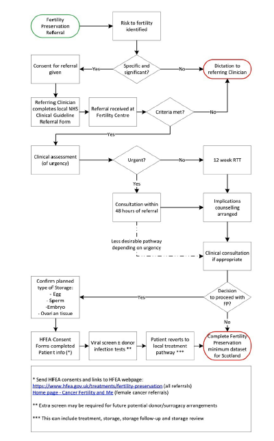 Flowchart showing the suggested patient referral pathway. 