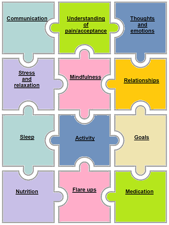Image demonstrating the interconnected relationship between different elements of pain management discussed in this chapter: communication, understanding of pain/acceptance, thoughts and emotions, stress and relaxation, mindfulness, relationships, sleep, activity, goals nutrition, flare ups, medication. 