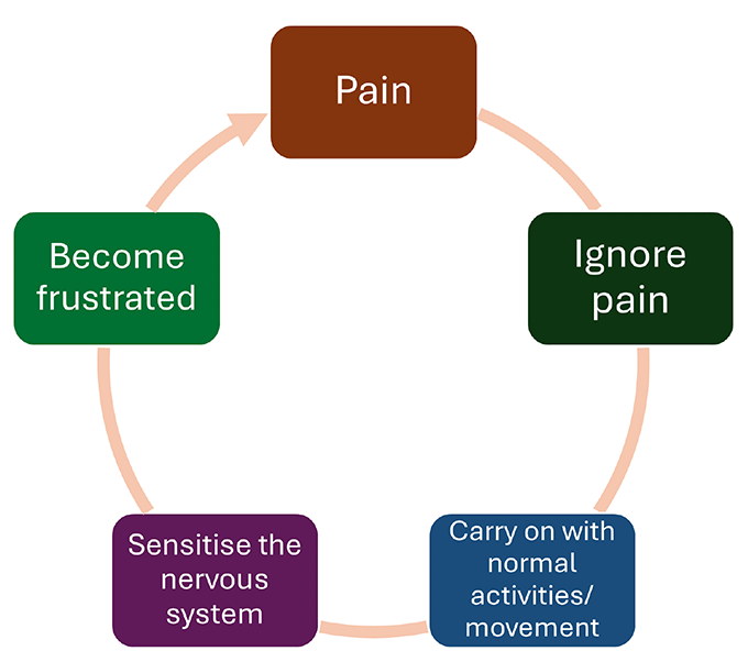 Image showing the cycle of overactivity: pain, ignoring pain, carrying on with normal activities/movement, sensitising the nervous system, becoming frustrated.