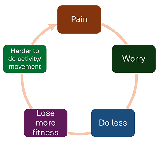 Image showing the cycle of underactivity: pain, worry, doing less, losing more fitness, harder to do activity/movement.