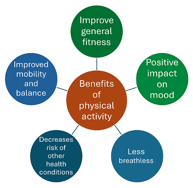 Radial diagram showing the various benefits of physical activity: improve general fitness, positive impact on mood, less breathlessness, decreases risk of other health conditions, improved mobility and balance. 