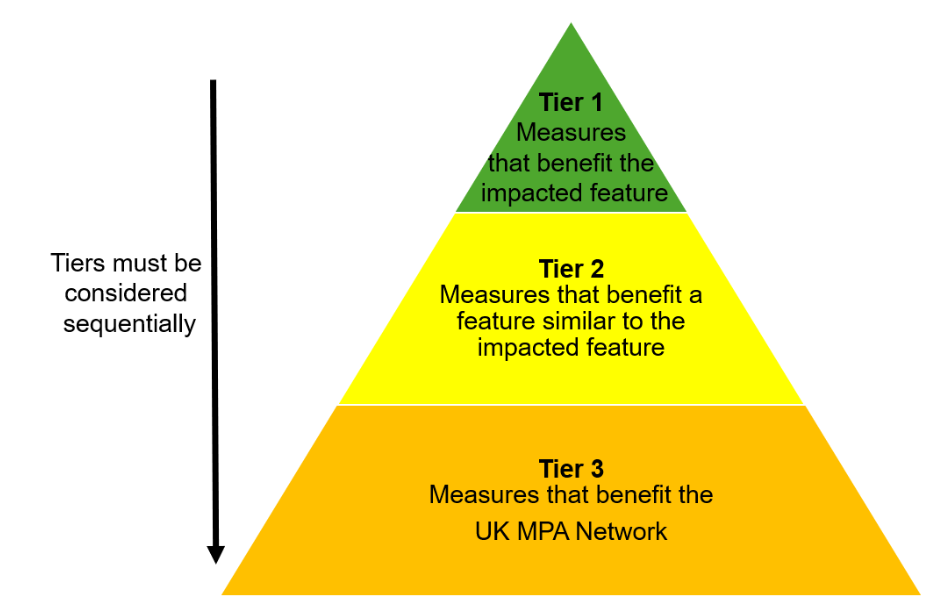Figure 1. The Compensation Hierarchy