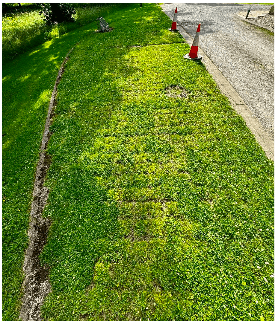 Grasscrete has been used to extend hard standing and turning area to reduce the impact on the landscape
