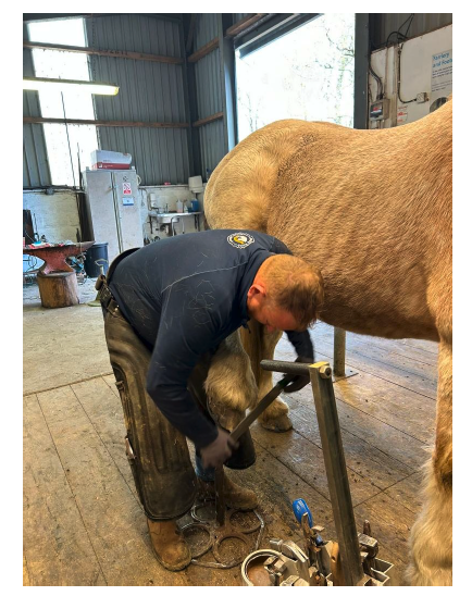 A farrier trimming the hoof of a horse. Image supplied and permission for use granted by World Horse Welfare.