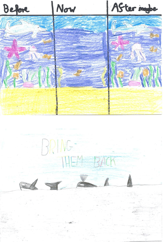 Sunnyside Ocean Defenders Sunnyside Ocean Defenders
