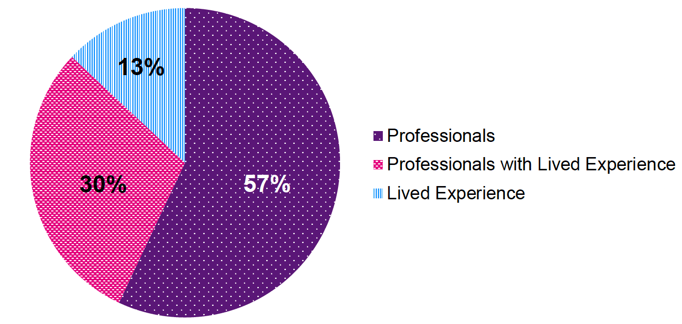 A pie chart showing types of respondents that took part in the consultation. Percentage responses by respondent types, 13% those with lived experience, 30% professionals with lived experience, 57% professionals. Total number of participants is 235.