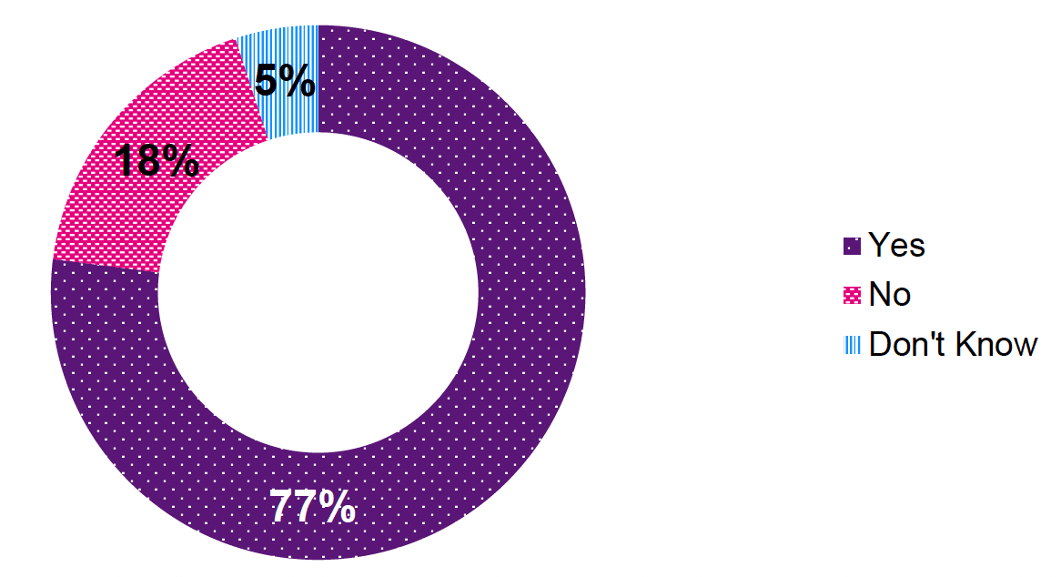 A doughnut chart of percentage responses to include consideration on 'Animals' when undertaking a Domestic Homicide Review. 77% of respondents answered 'Yes', 18% answered 'No', and 5% answered 'Don't Know'.